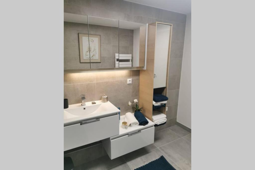 شقة Magnifique F3, 75M² Avec Parking Prive Et Terrasse ستراسبورغ المظهر الخارجي الصورة